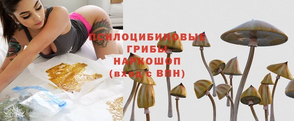 МДПВ Аркадак