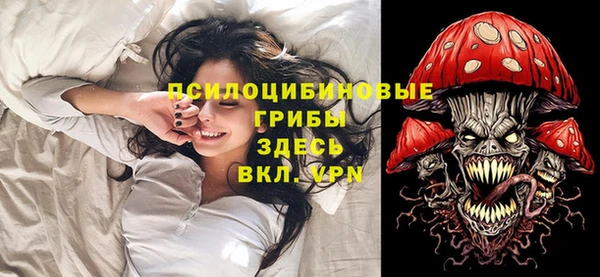 экстази Арсеньев